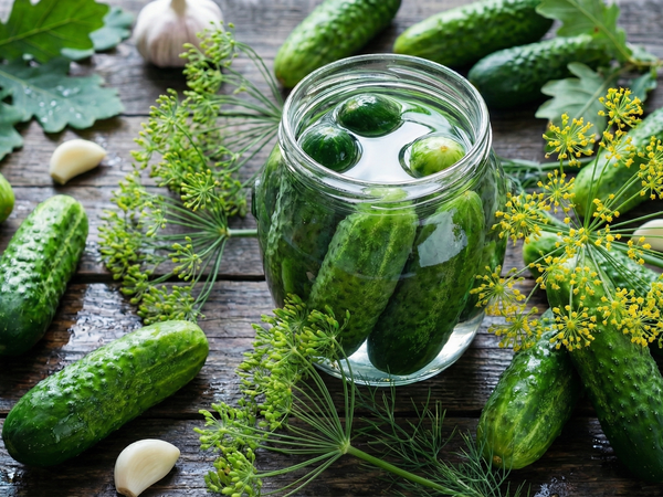 Ogórki Kiszone (Polish sour cucumbers)