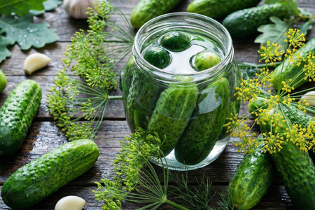 Ogórki Kiszone (Polish sour cucumbers)