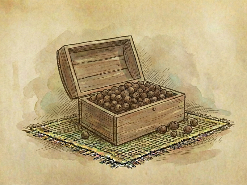 Allspice Berries