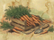 Illustration of carrots in a wooden crate with a garden trowel on a textured background | Cook & Keeper