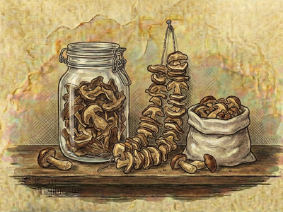 Dried Forest Mushrooms