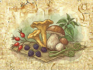 Foraged & Wild