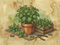 Illustration of basil plants in pots and a wooden crate on a textured paper background | Cook & Keeper