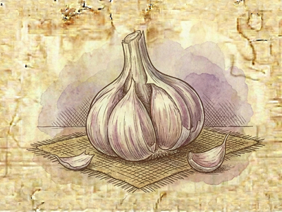 Garlic Bulb