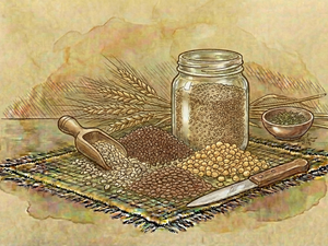 Grains & Pulses