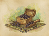Juniper Berries