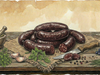 Kaszanka (Polish black pudding)