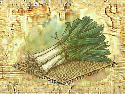 Leek