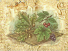 Oak, Cherry, or Grape Leaves