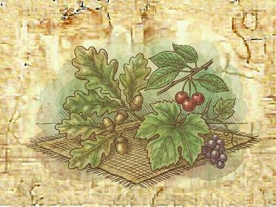 Oak, Cherry, or Grape Leaves