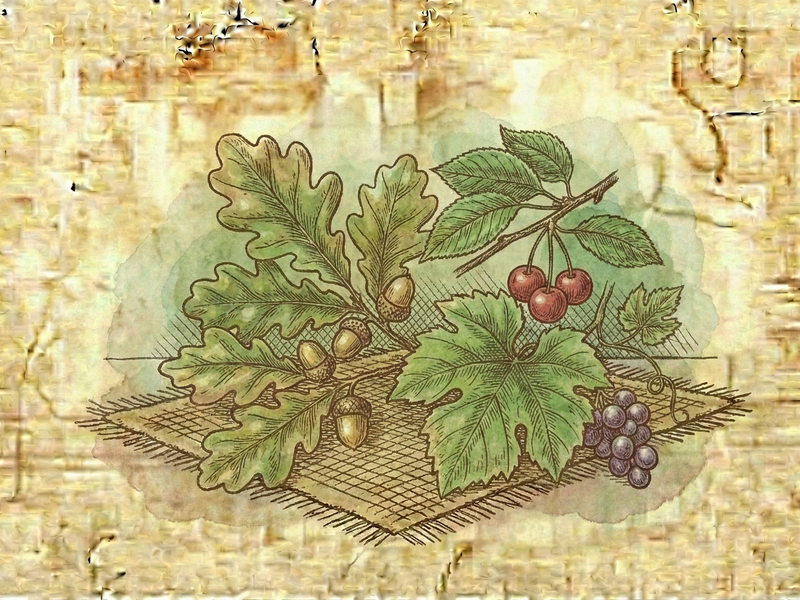 Oak, Cherry, or Grape Leaves
