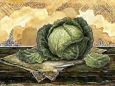 Savoy Cabbage