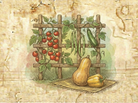 Vine Vegetables