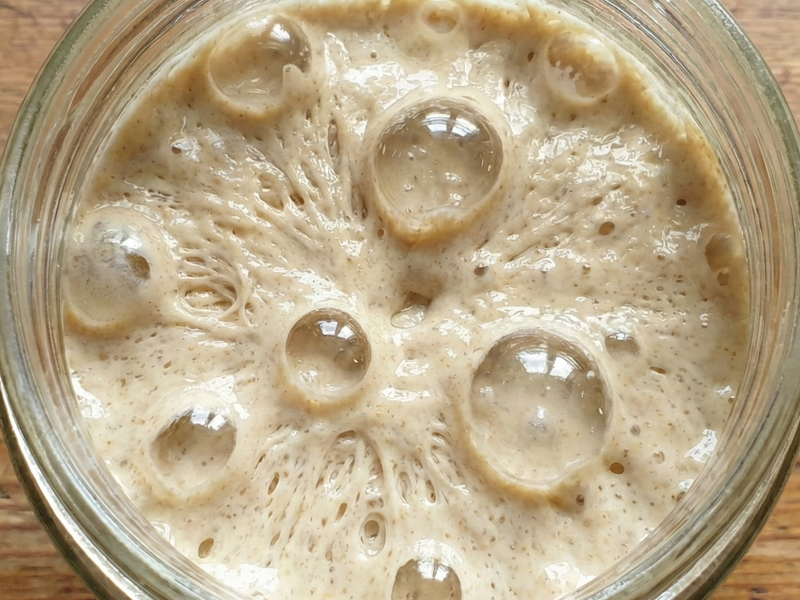 Sourdough starter in a glass jar on a wooden surface  | Cook & Keeper - zakwas pszenny