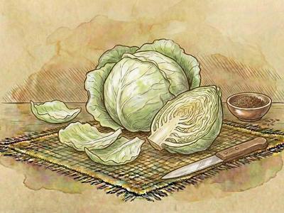 White Cabbage