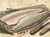 Zander Fillets