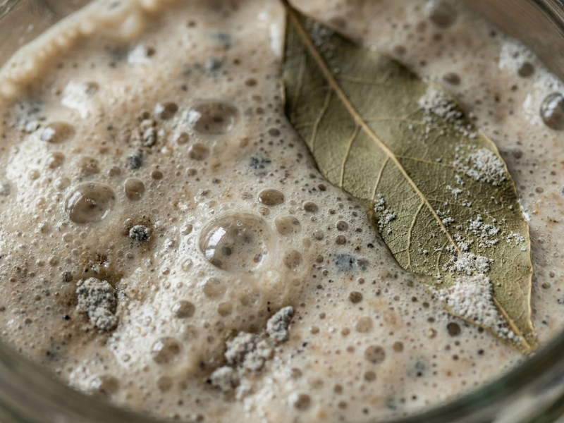 Foamy beverage with a leaf in a glass container | Cook & Keeper - zakwas zytni